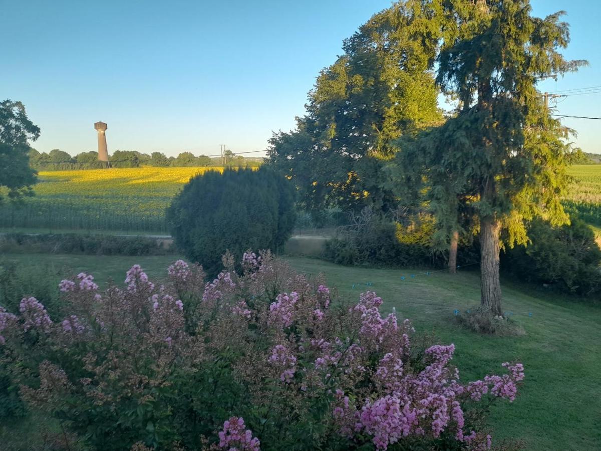 Château Ardilleux Exterior foto